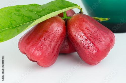 Rose apple or Chomphu photo