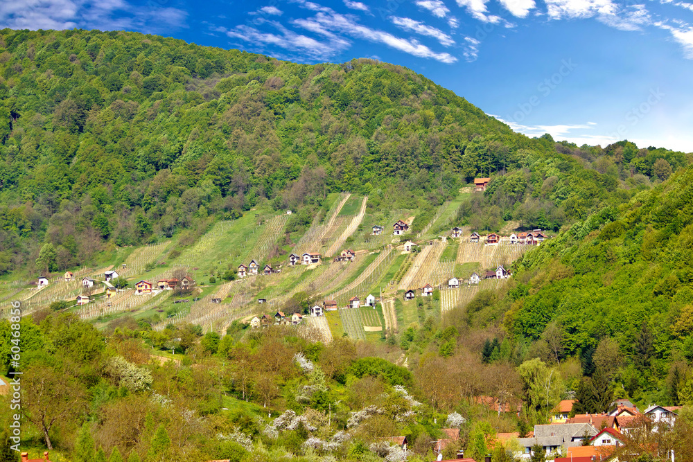 Pictoresque vineyard hill in Zagorje