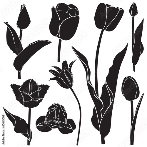 Tulips silhouette set #60469004