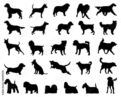 Black silhouettes of dogs, vector