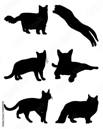 Black silhouettes of cats, vector