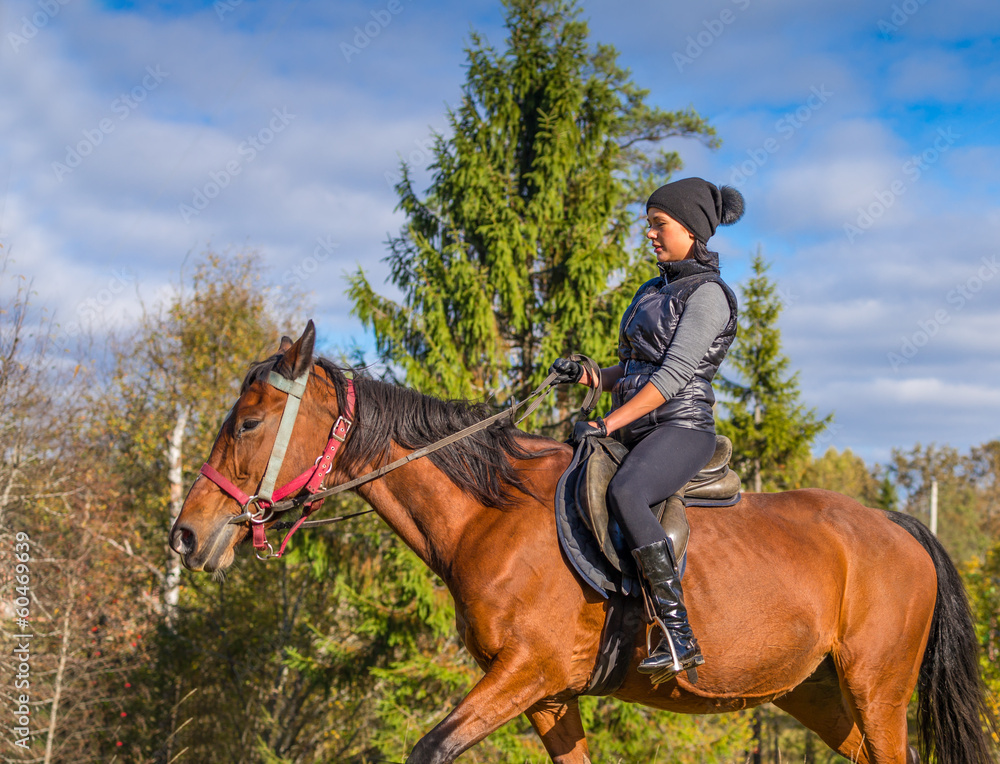 Fototapeta premium Elegant attractive woman riding a horse