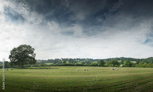View of the countryside, England