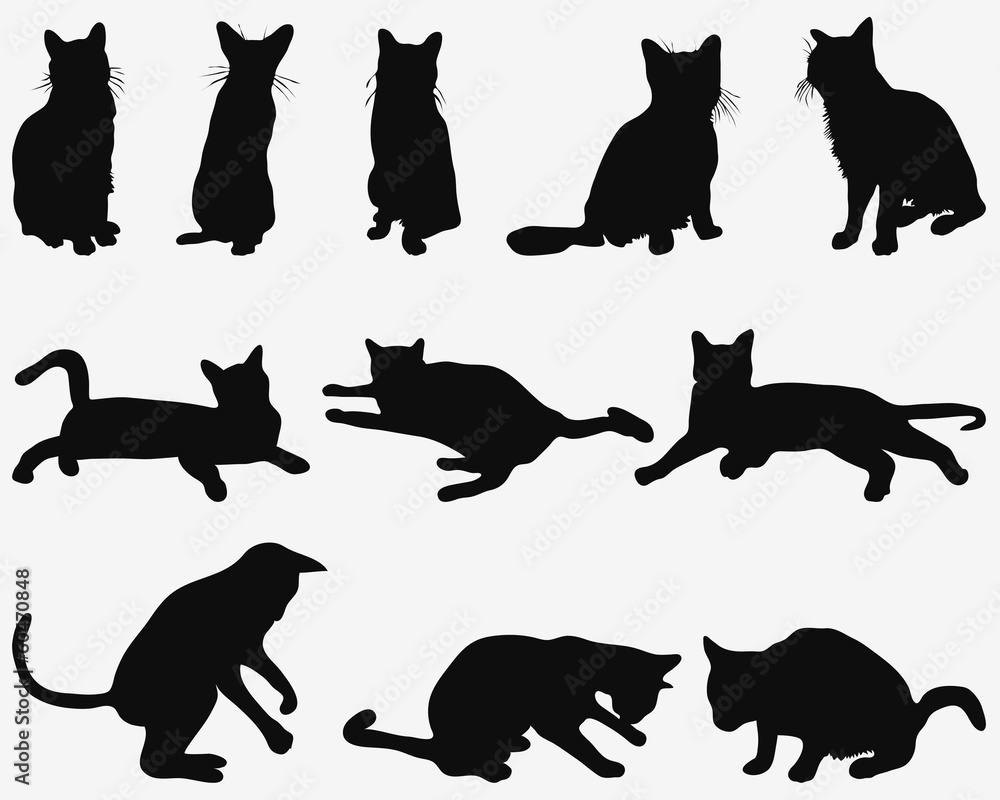 Black silhouettes of cats in resting poses, vector