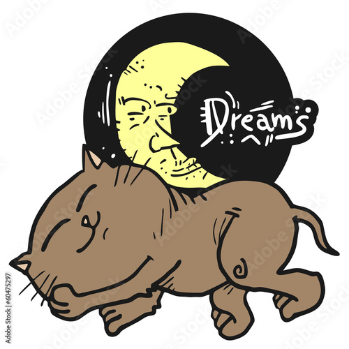 Cat dream
