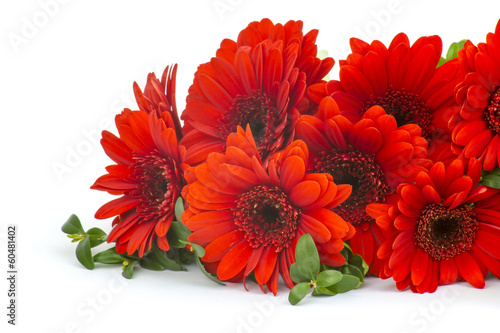 Fototapeta Naklejka Na Ścianę i Meble -  gerbera flowers