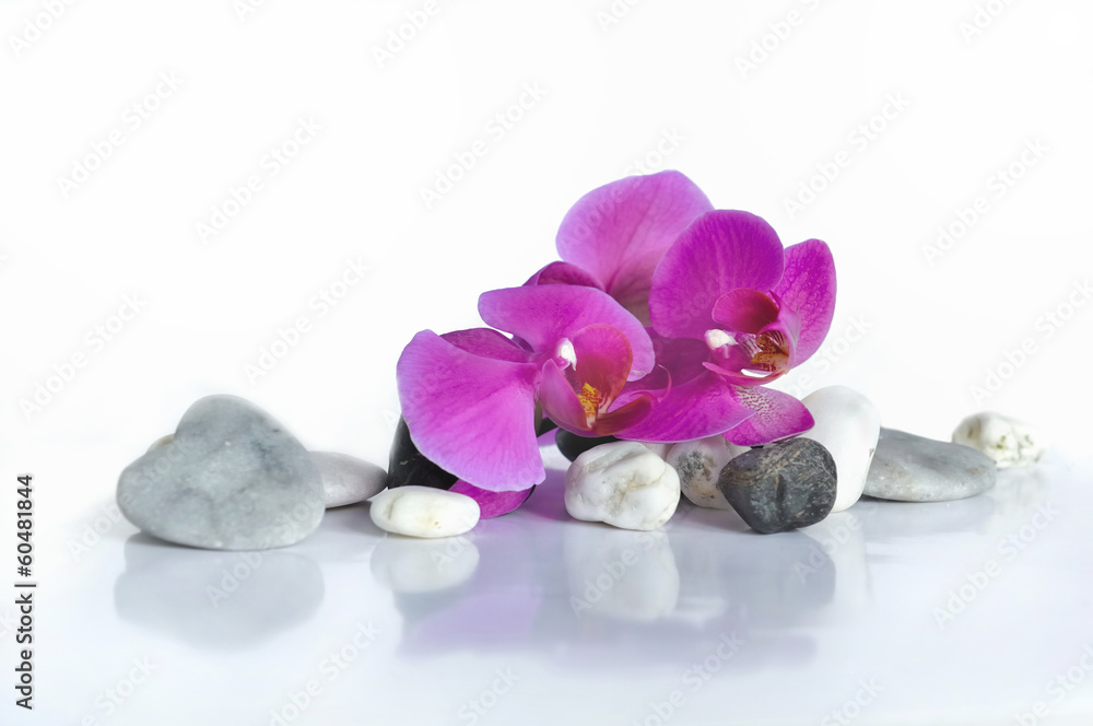 orchidée et cœur en pierre orchidée et cœur en pierre