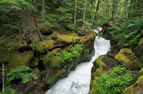 Narrow canyon of Avalanche Gorge photo