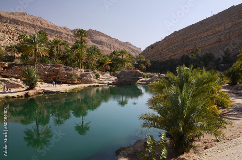 Water pools in Wadi Bani Khalid, Oman, Arabia photo