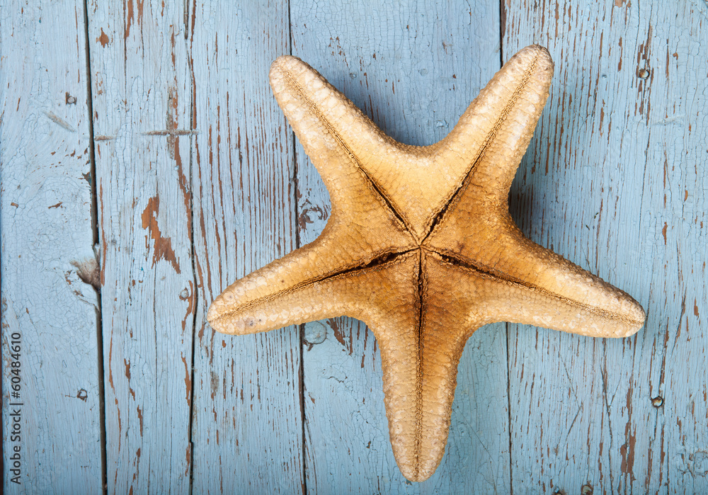inverted starfish on wooden background inverted starfish on wooden background