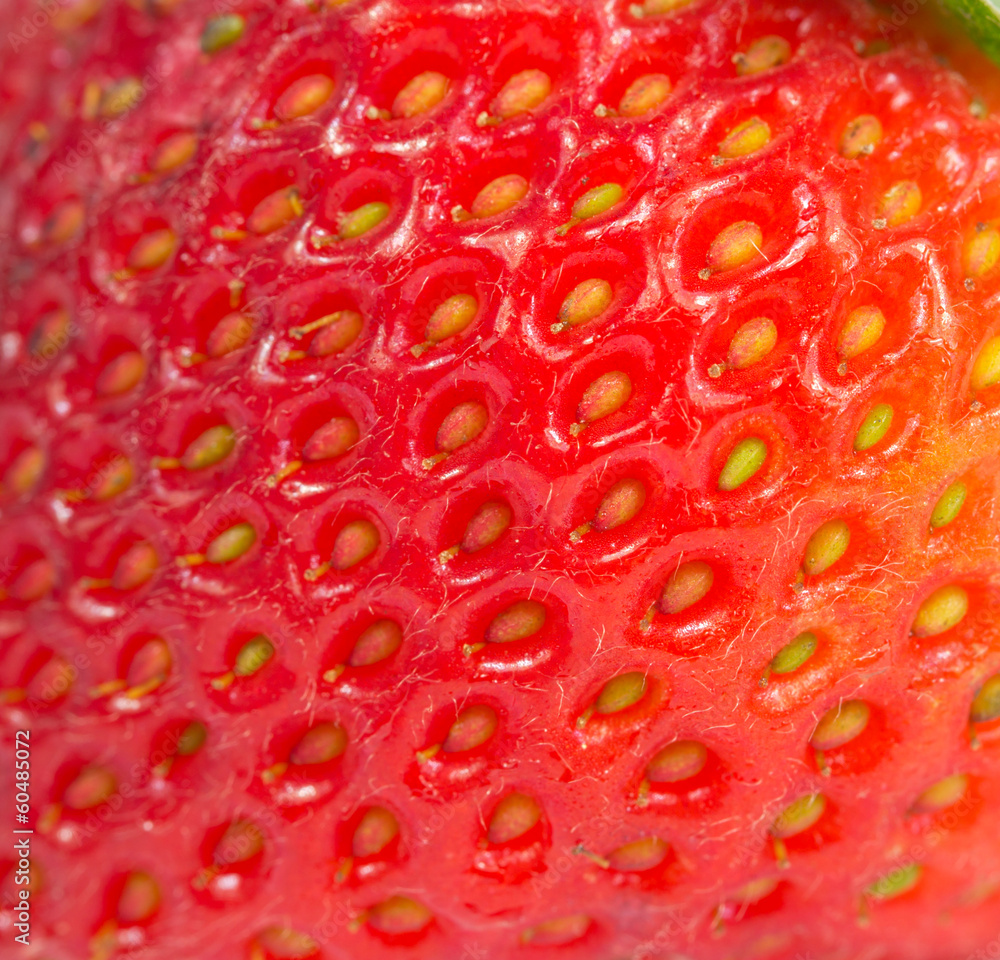 Close up fresh strawberry isolated Close up fresh strawberry isolated