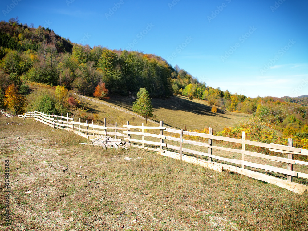 wooden fence in a meadow