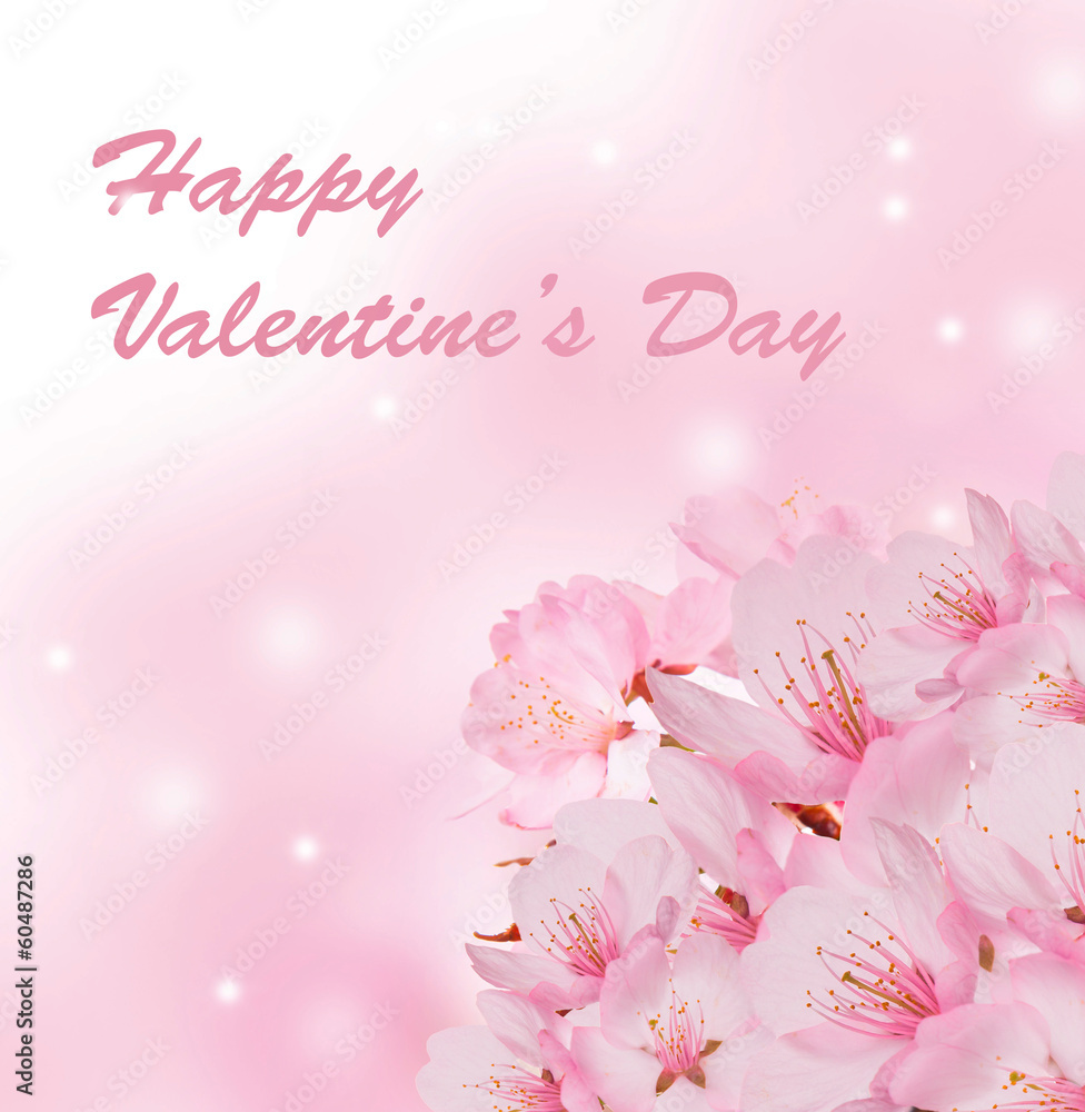 Spring background with pink blossom Spring background with pink blossom