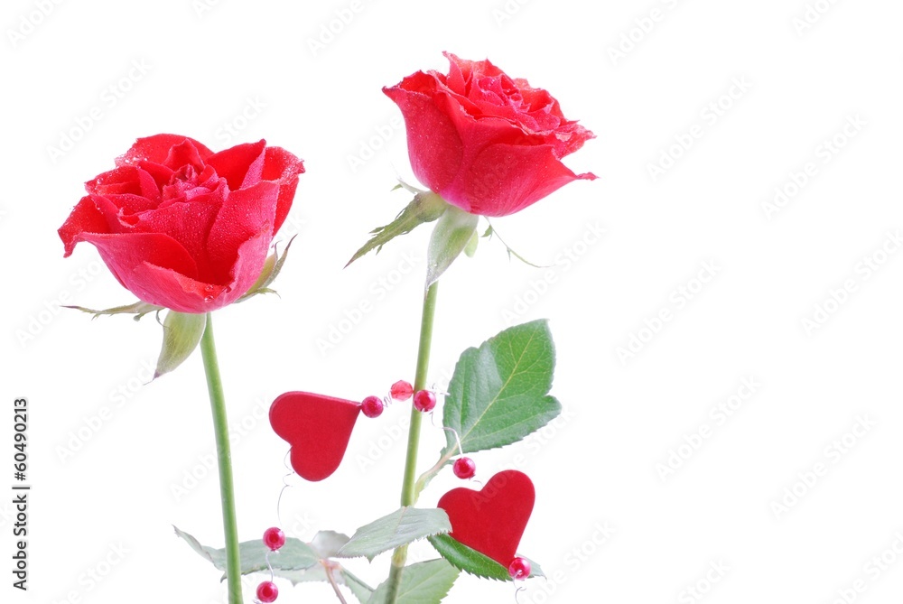 Obraz premium Rose und Herz