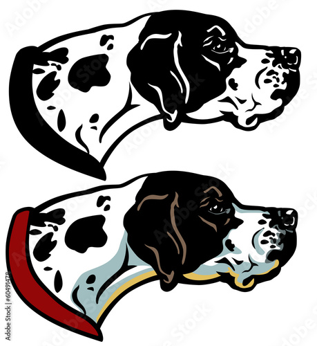pointer dog head