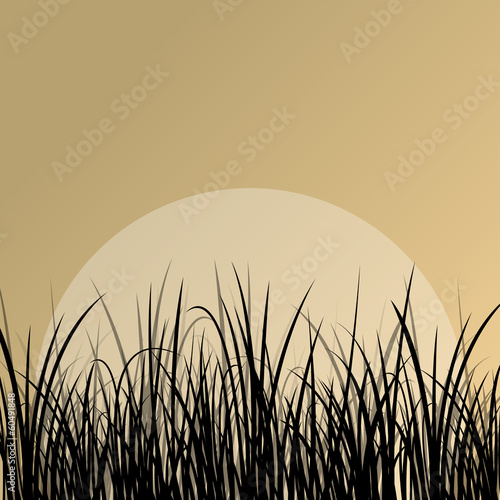 Lake reed and wild water plants detailed silhouettes outdoor ill