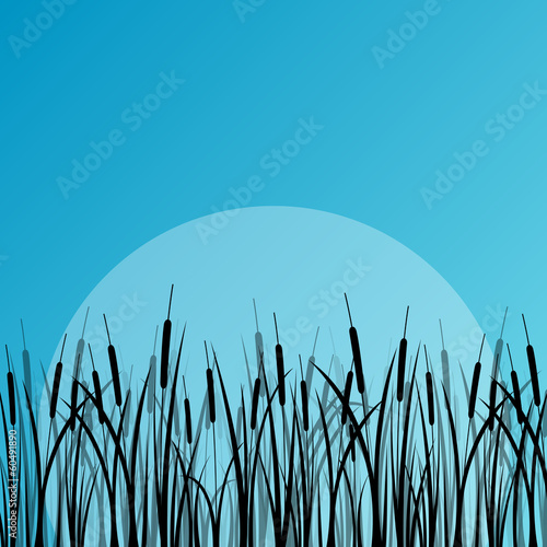 Lake reed and wild water plants detailed silhouettes outdoor ill