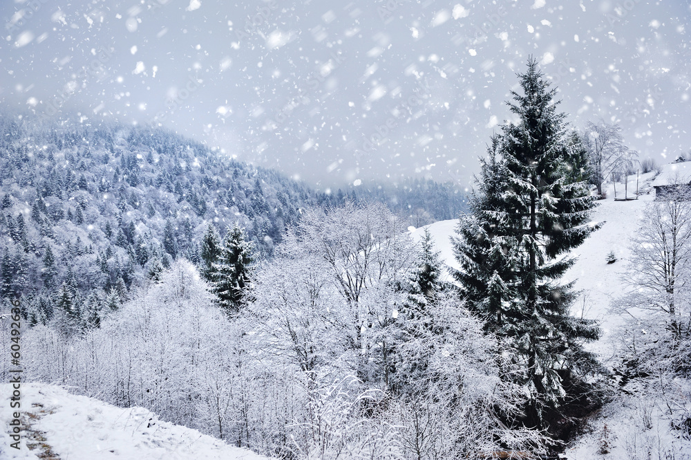 Fototapeta premium Beautiful winter landscape with snow covered trees
