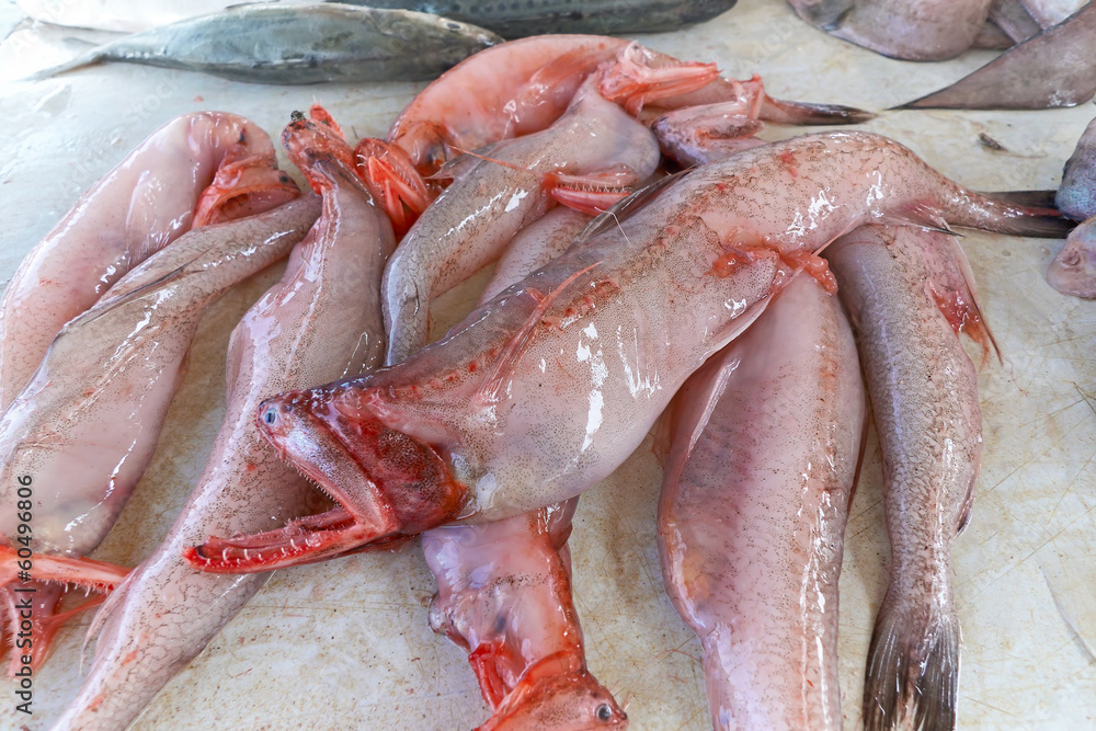 Fresh fish at the fish market counter. Siolim, Goa, India. Fresh fish at the fish market counter. Siolim, Goa, India.