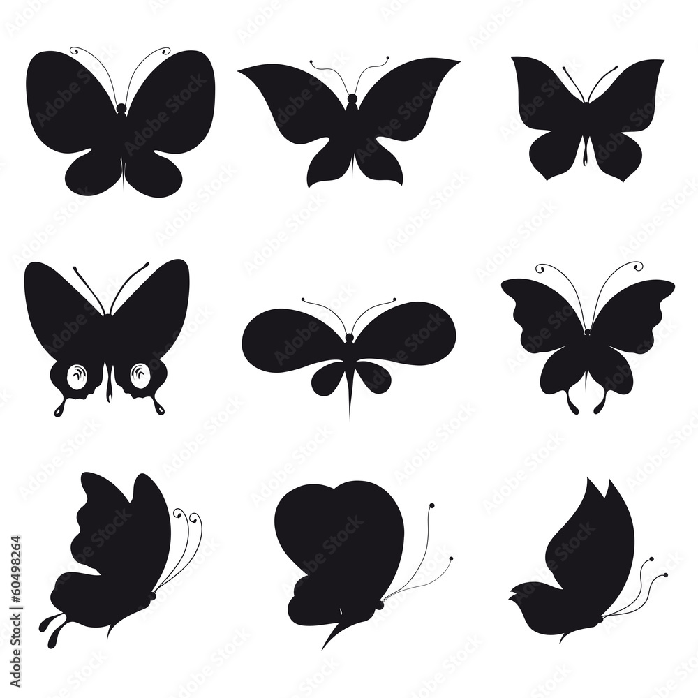 butterflies design