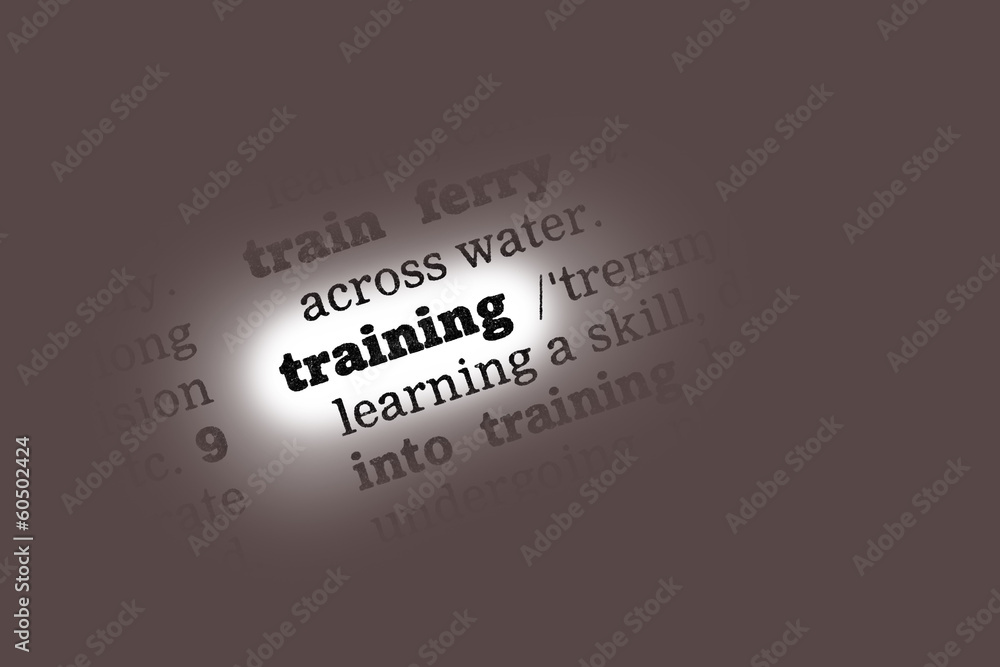 Training Dictionary Definition Training Dictionary Definition