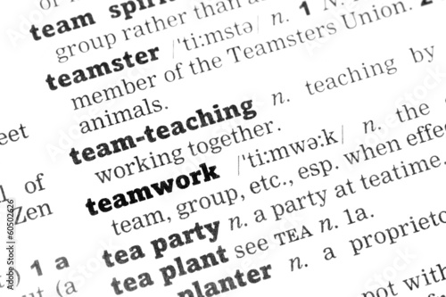 Teamwork Dictionary Definition