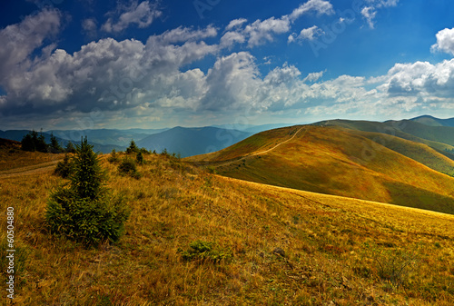 Travel along the ridge in summer