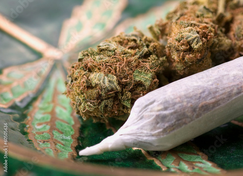 Foto marijuana