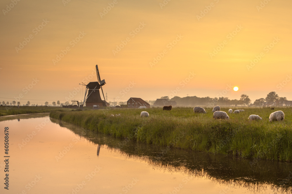 Naklejka premium Dutch Polder Landscape during Orange Sunset