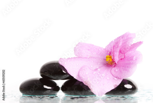 Black spa stones and flower on white