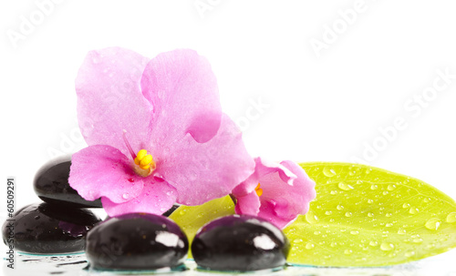 Black spa stones and flower on white