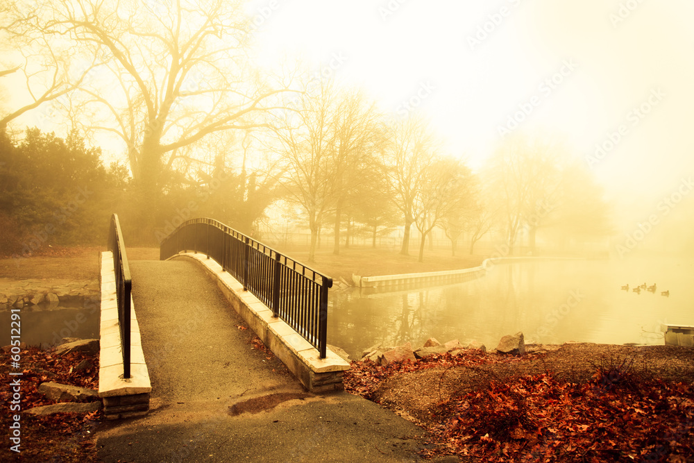 Naklejka premium Fog and golden morning light with footbridge of pond