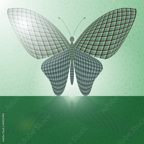 butterfly on the wall and its reflection on a horizontal surface