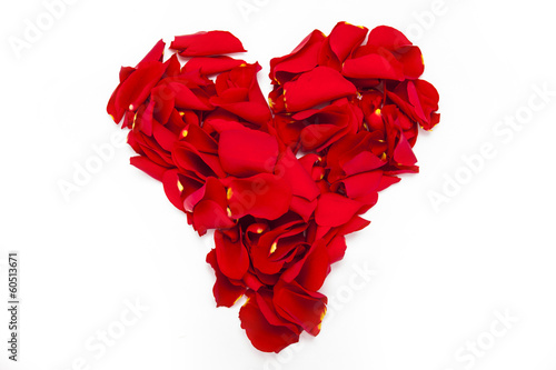 Heart with rose petal