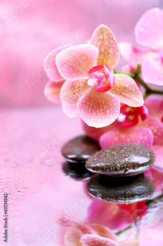 Photography Composition with beautiful blooming orchid with water drops and