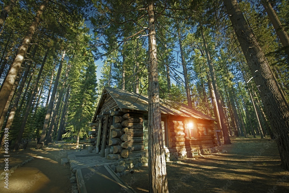 Obraz premium Aged Forest Cabin