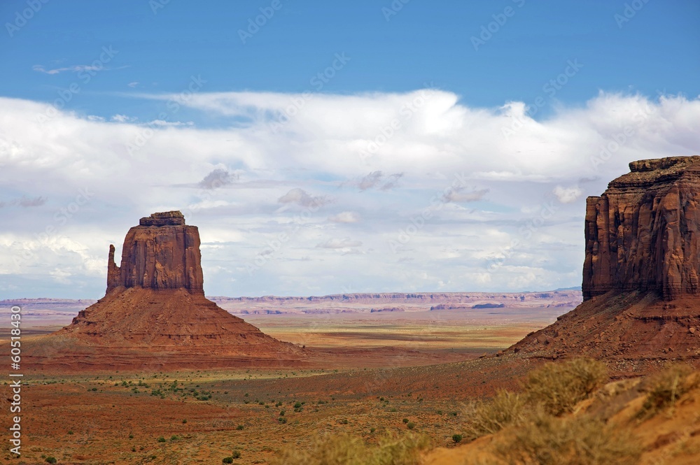 Arizona Raw Landscape