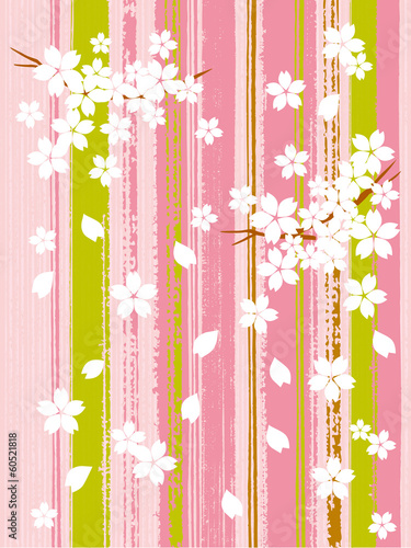 春_罫線_桜