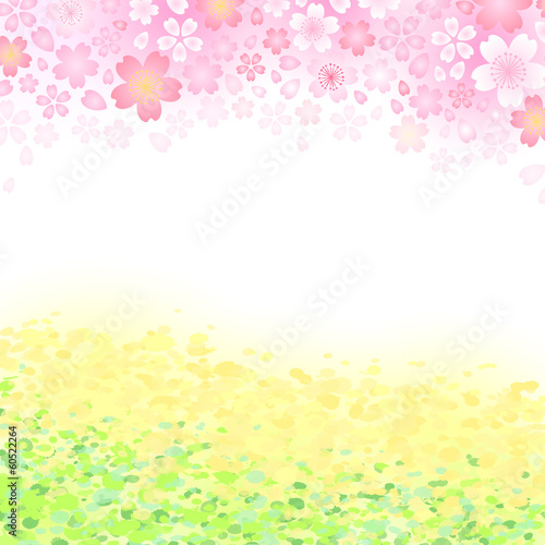 さくら菜の花背景素材