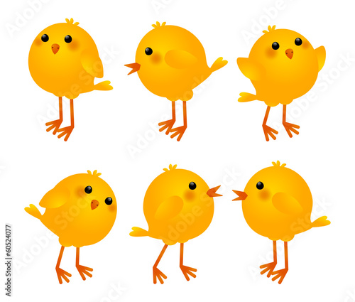 Set of little chickens