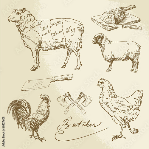 cut of meat - lamb, chicken