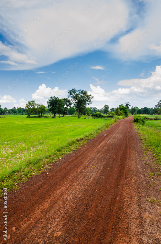 Road soil