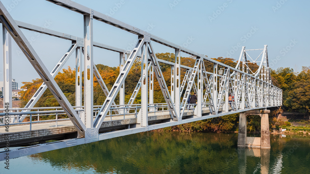 Fototapeta premium The Bridge to Okayama Castle