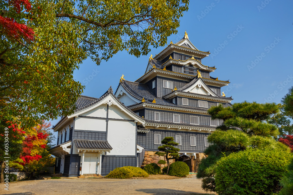 Okayama Castle in Japan