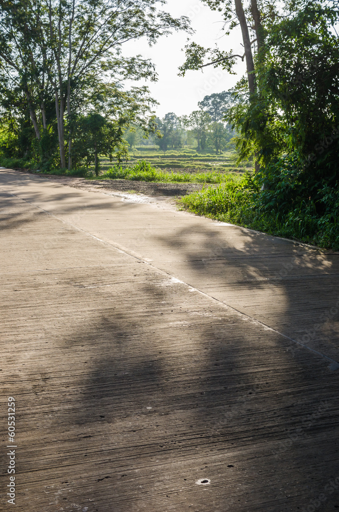 Fototapeta premium Road and sky