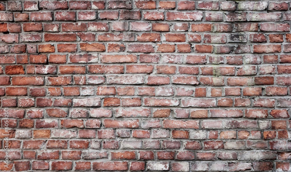 Naklejka premium wall