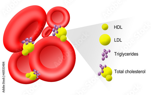 Illustration of cholesterol molecules in blood photo