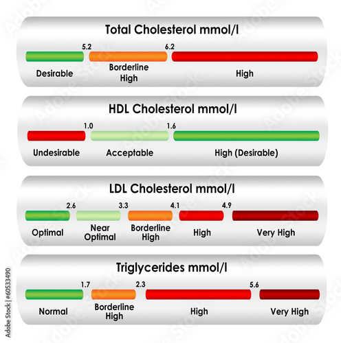 Cholesterol chart in mmol/l units of measure Stock Illustration | Adobe  Stock