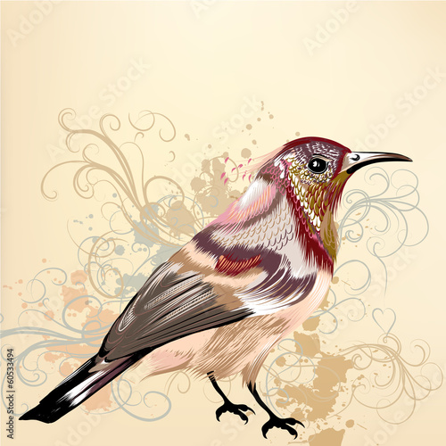 Beautiful vector background with hand drawn vector colorful bird