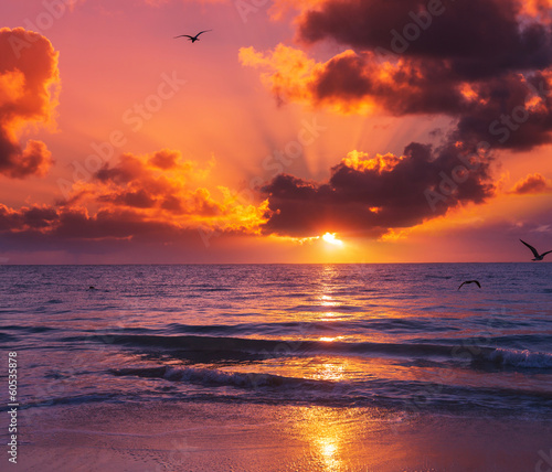 Sea sunset © Galyna Andrushko
